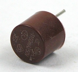 TR5 Fuse fast-acting 160mA 250V short leads