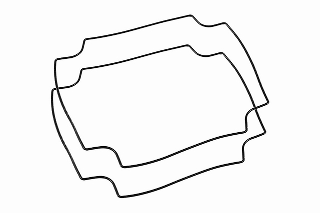 Packung fü BOX 1557F (2 stück)